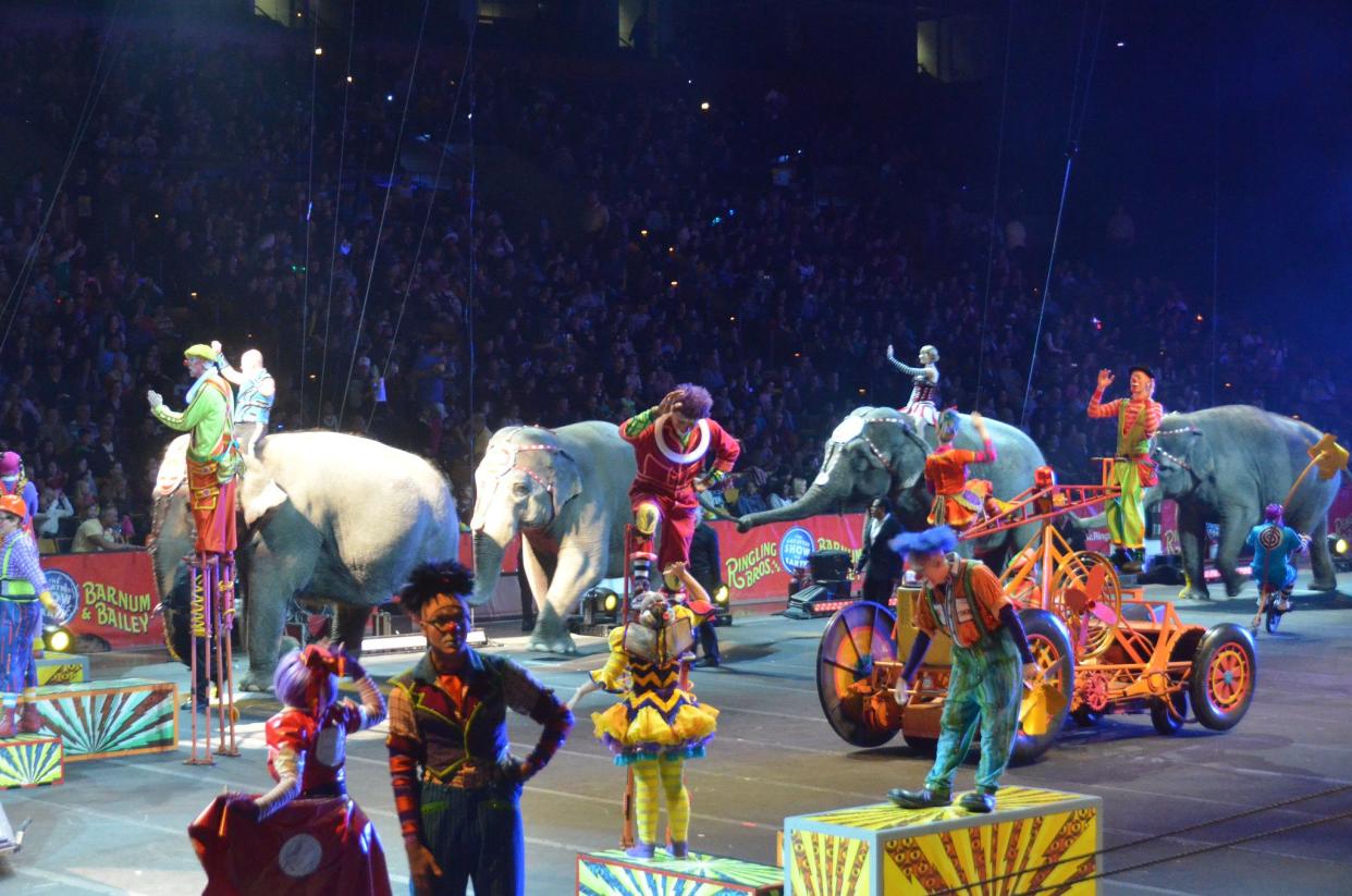 Ringling Brothers & Barnum Bailey Circus, TD Garden, Boston, elephants and people in costumes on stage in the foreground, darkened crowd in the background, 14 oct 2012