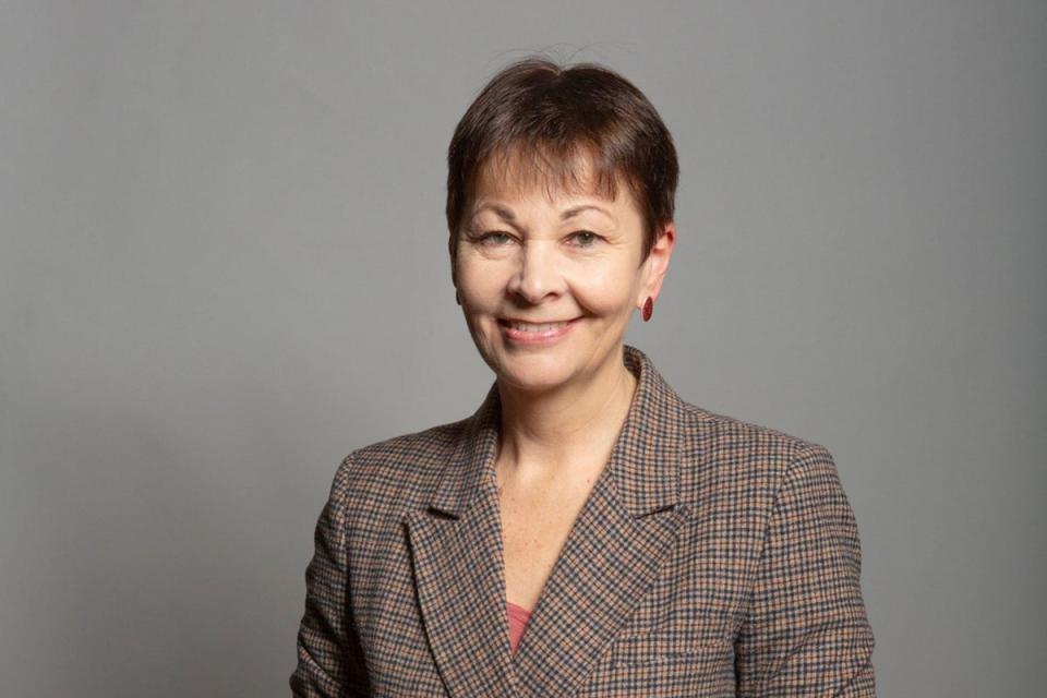 Caroline Lucas is the only Green Party MP standing down