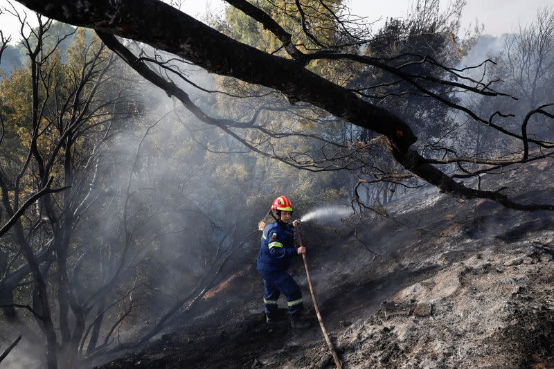 Wildfire erupts north of Athens