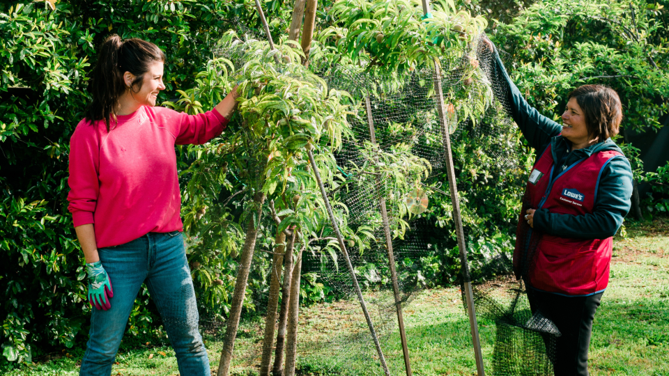 Tiffani Thiessen with the Sta-Green Tree Netting from Lowe's.