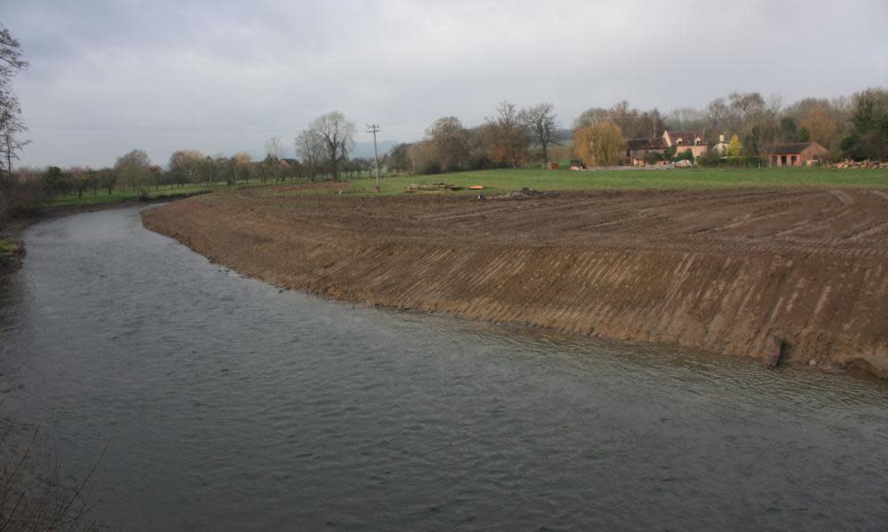 <span>Photograph: Herefordshire Wildlife Trust/PA</span>