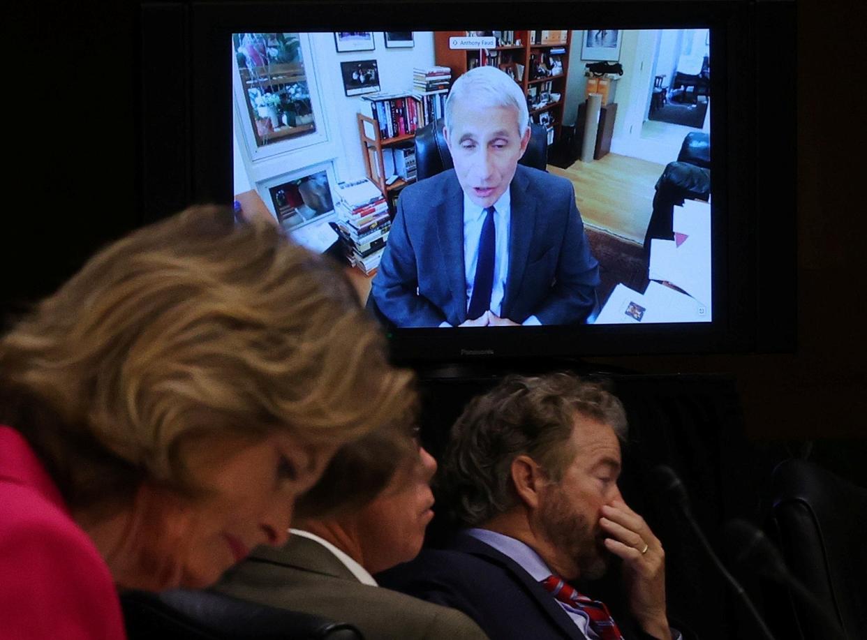 Anthony Fauci gives evidence remotely about the coronavirus pandemic to the Senate health committee: REUTERS