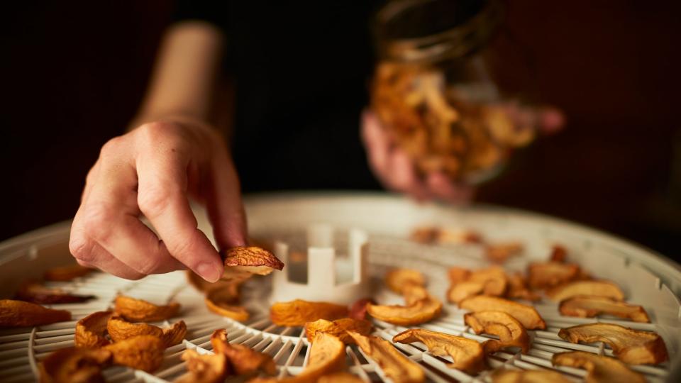 dehydrating apples