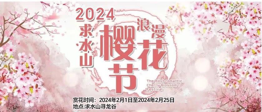 深圳櫻花2024｜深圳賞櫻5大好去處！必去觀瀾湖櫻花節、羅湖仙湖植物園 鹽田小三洲水庫、坪山聚龍山公園規模最大（附交通方法）