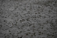 <p>Raindrops fall into the River Thames during low tide in London, Britain on Feb. 27, 2017. (Photo: Stefan Wermuth/Reuters) </p>