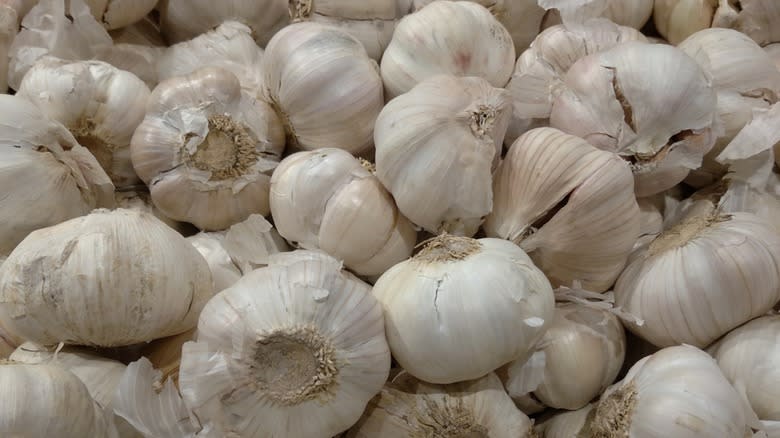 Pile of garlic heads