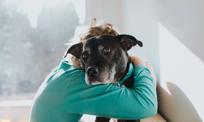 a person and dog hugging