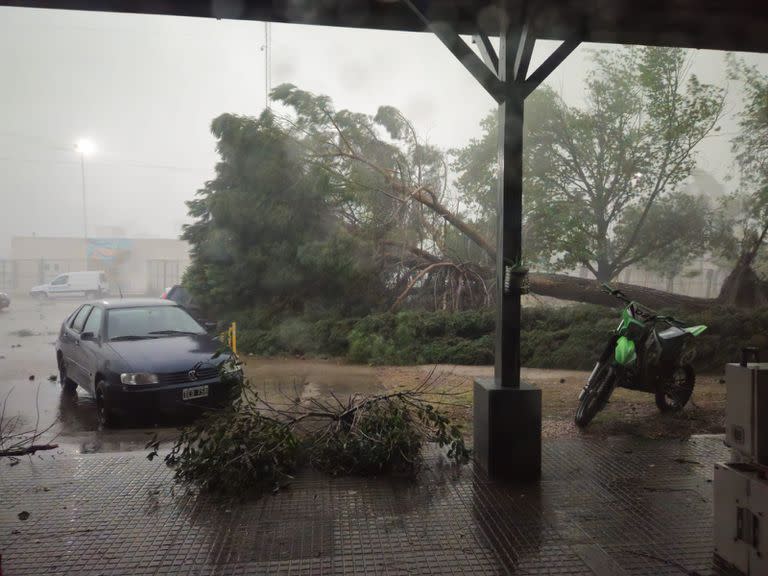 La tormenta causó destrozos primero en Bahía Blanca y luego atravesó la provincia hasta llegar a Capital Federal y alrededores