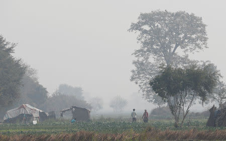 Cold wave in Delhi-NCR