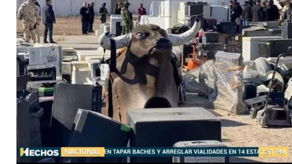 Toro mecánico, un hallazgo que sorprende e indigna. (Captura de Twitter/@AztecaNoticias)