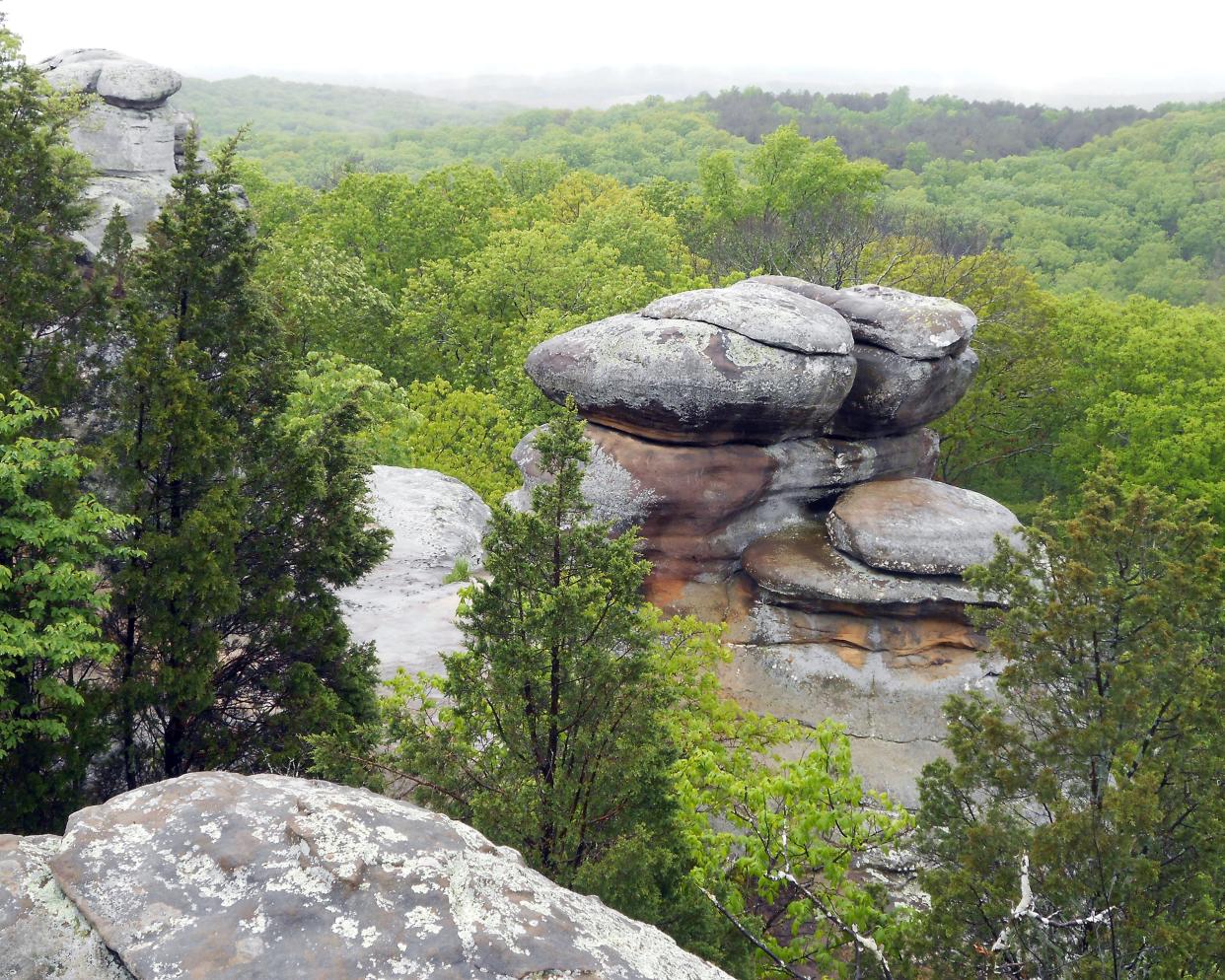 Shawnee National Forest in Illinois