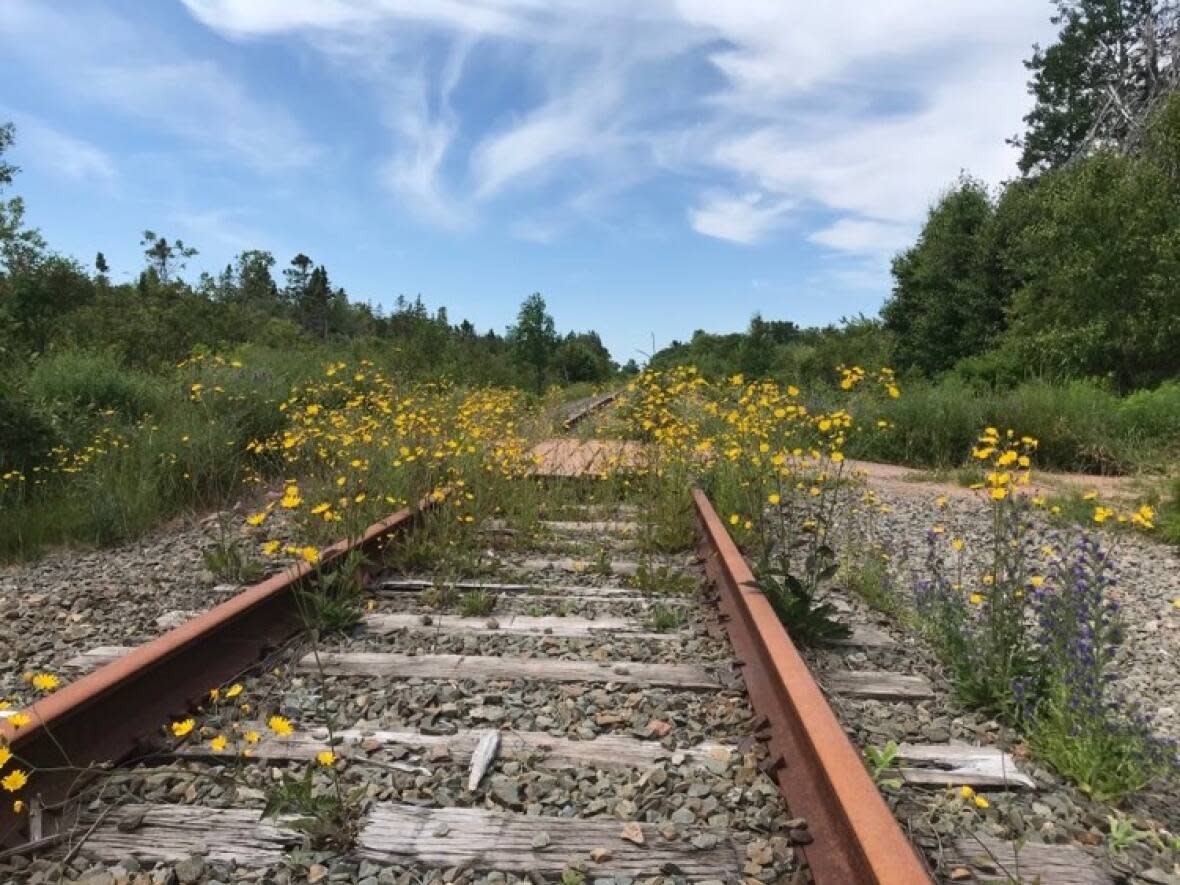 To run power lines, internet, and other utilities across the privately owned railway along Highway 223 in Cape Breton, N.S., residents must pay thousands of dollars. (Emily Latimer - image credit)