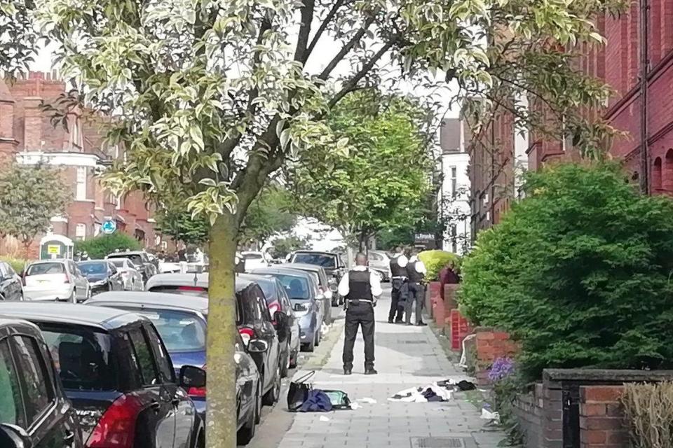 Streatham stabbing: Man, 19, jailed over 'vicious' knife attack on school pupil in south London