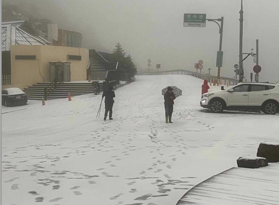 受寒流影響，南投合歡山23日清晨開始下雪，山區成為白色世界。（圖／農業部林業及自然保育署南投分署提供）