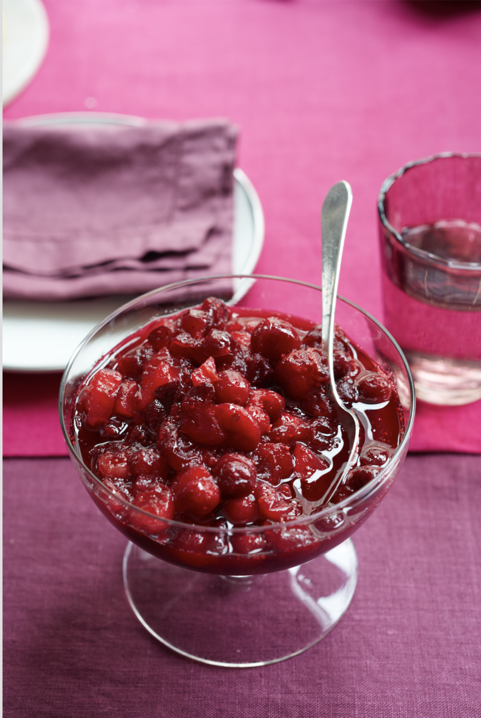 <p>This holiday-ready sauce combines all your favorite fruits of the season (cranberries! pears! apples!) for a spicy-sweet side that tastes great on everything from <a href="https://www.goodhousekeeping.com/food-recipes/a46605/golden-herb-roasted-turkey-recipe/" rel="nofollow noopener" target="_blank" data-ylk="slk:Herb-Roasted Turkey;elm:context_link;itc:0;sec:content-canvas" class="link ">Herb-Roasted Turkey</a> to <a href="https://www.goodhousekeeping.com/food-recipes/a9645/pineapple-glazed-ham/" rel="nofollow noopener" target="_blank" data-ylk="slk:Pineapple-Glazed Ham;elm:context_link;itc:0;sec:content-canvas" class="link ">Pineapple-Glazed Ham</a>.</p><p><em><a href="https://www.goodhousekeeping.com/food-recipes/a15504/cranberry-sauce-pears-recipe-wdy1113/" rel="nofollow noopener" target="_blank" data-ylk="slk:Get the recipe for Cranberry Sauce with Pears »;elm:context_link;itc:0;sec:content-canvas" class="link ">Get the recipe for Cranberry Sauce with Pears »</a></em></p>