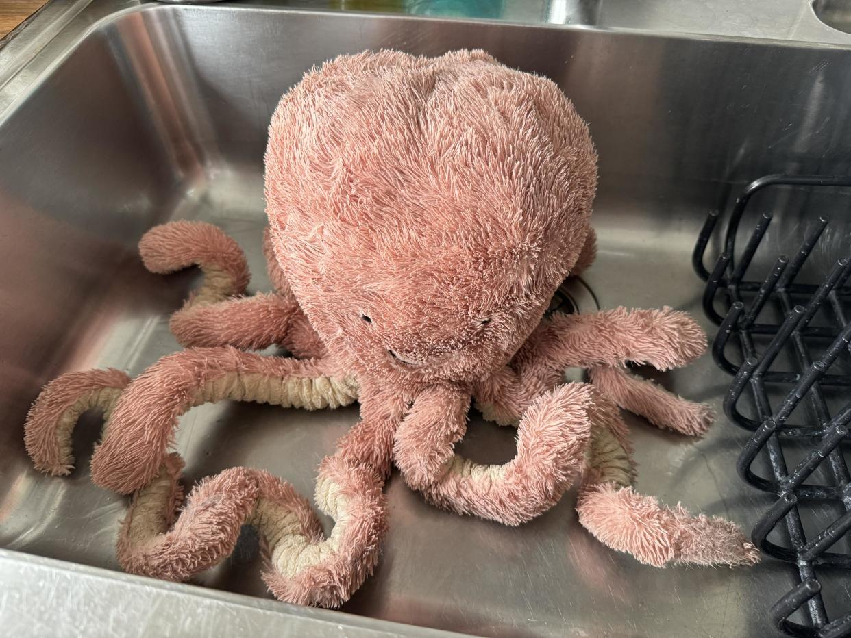 Toy octopus in sink