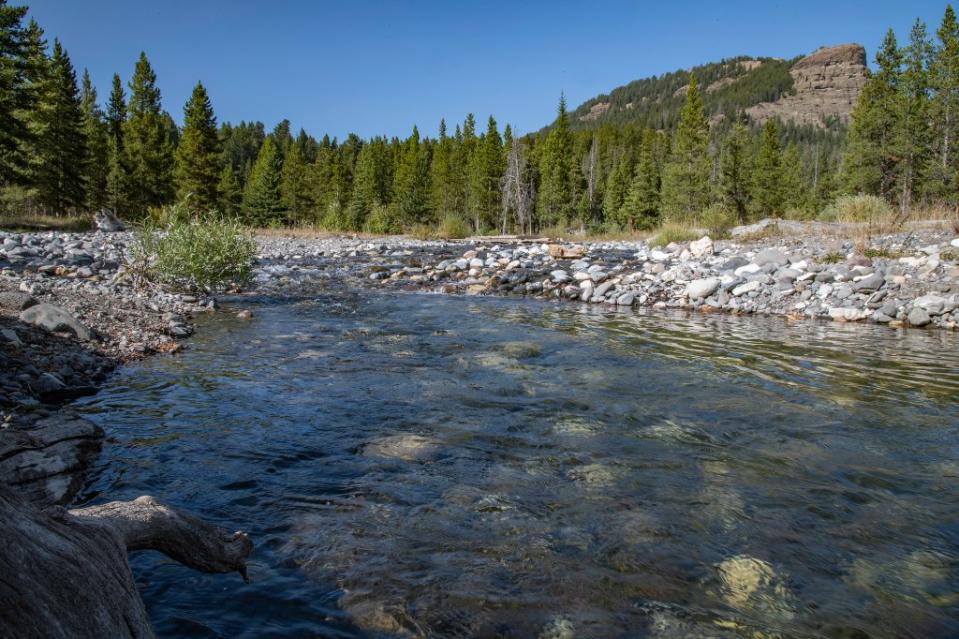 River Trail via Getty Images/John Morrison