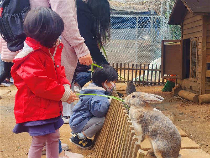 即日起至9月3日3歲以下及75歲(含)以上，憑證件免費入園。（圖／埔心牧場提供）