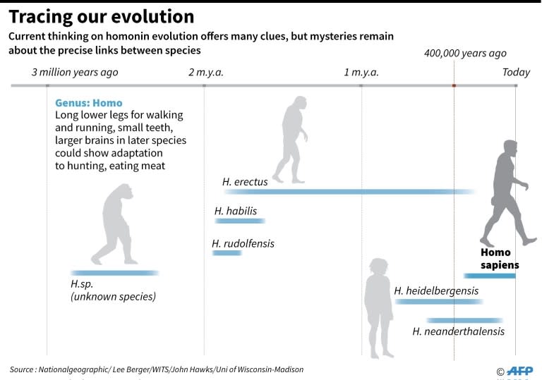 Tracing our evolution