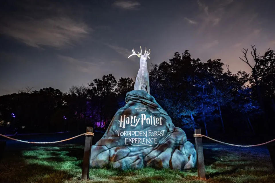 Harry Potter: A Forbidden Forest Experience - coming to Singapore