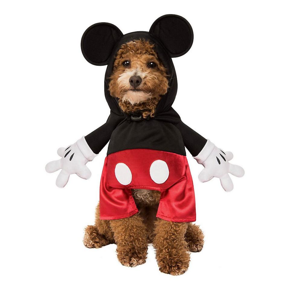 Dog wearing a Rubie’s Costume Company Mickey Mouse Dog Costume on a white background