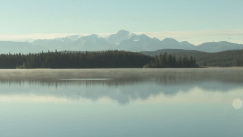 B.C. looking to reform environmental assessments for major projects