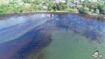 Oil spill after the bulk carrier ship MV Wakashio ran aground on a reef, at Riviere des Creoles, Mauritius