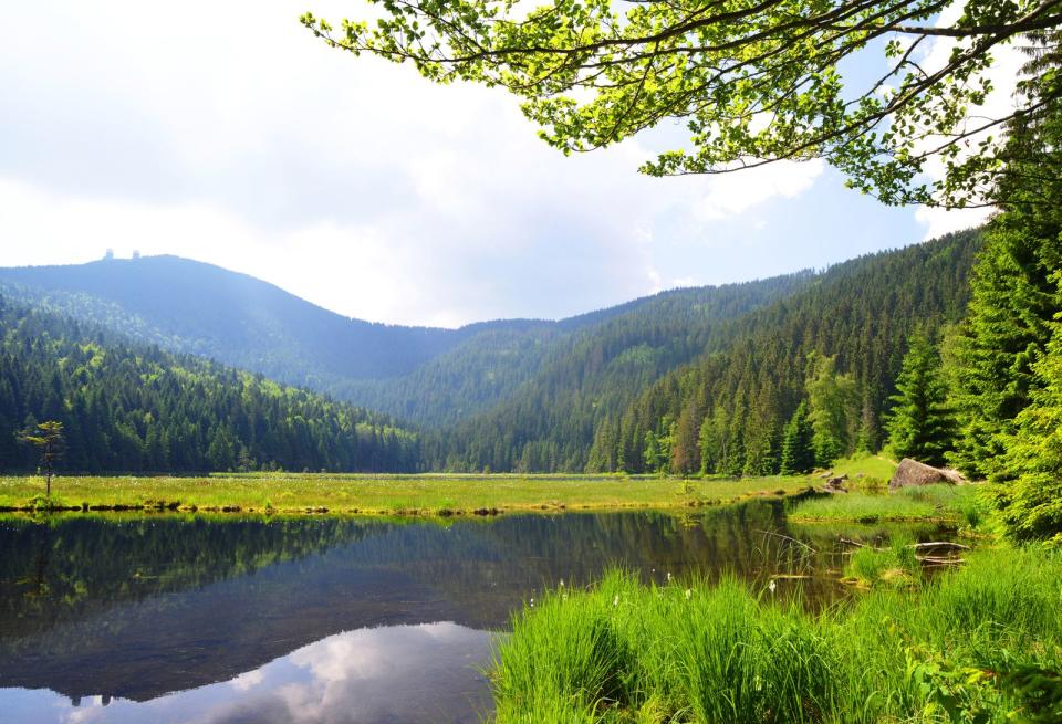 Ein berühmter Nationalpark Deutschlands ist der Bayerische Wald. Das Gebiet verläuft an der tschechischen Grenze und streckt sich auf 24.250 Hektar. Hier leben rund 40 Wildtiere und Vogelarten, die man auf ausgeschilderten Wander- und Radwegen bestaunen kann. Das Gebiet ist von rauschenden Bächen, natürlichen Bergseen, urigen Berghütten und Berggipfeln wie zum Beispiel dem Großen Arber geprägt. (Bild: iStock/vencavolrab)