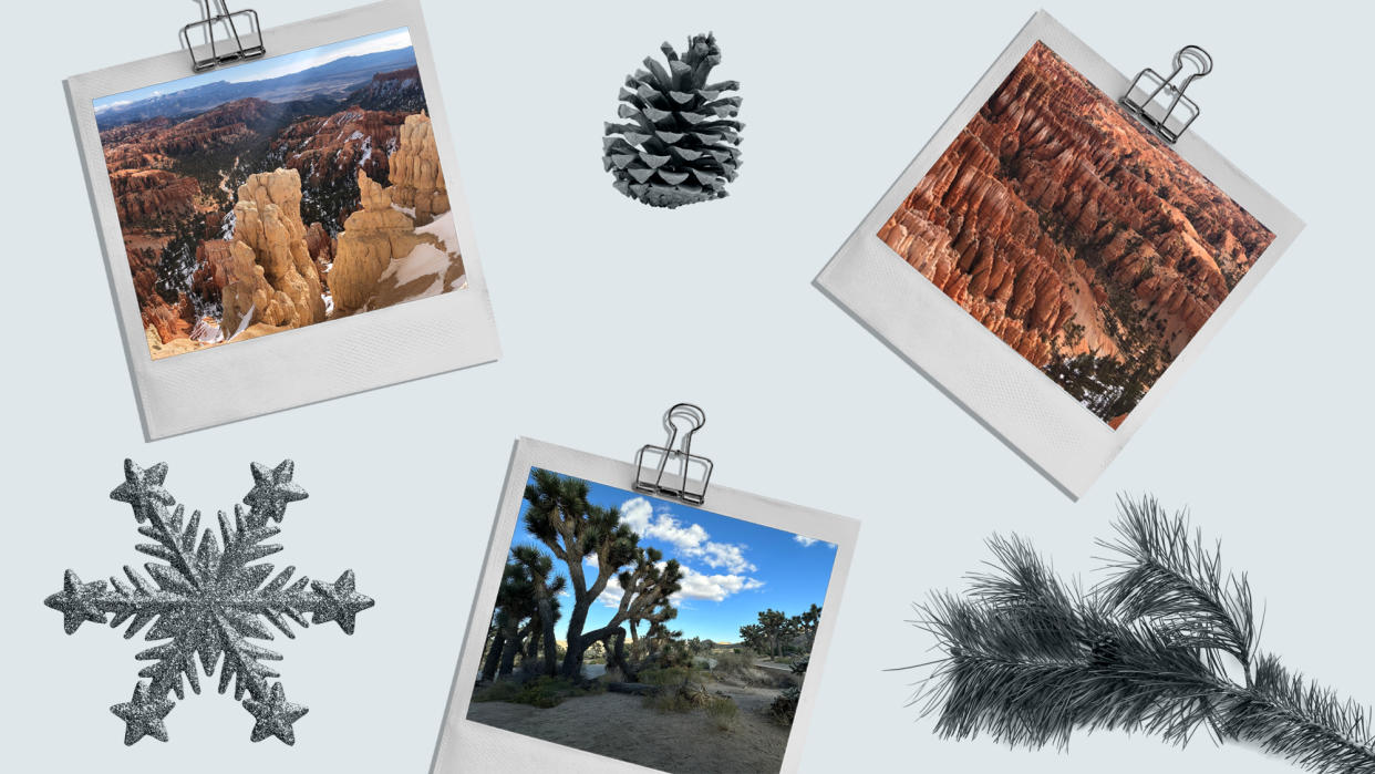  Images of Joshua Tree and Bryce Canyon. 