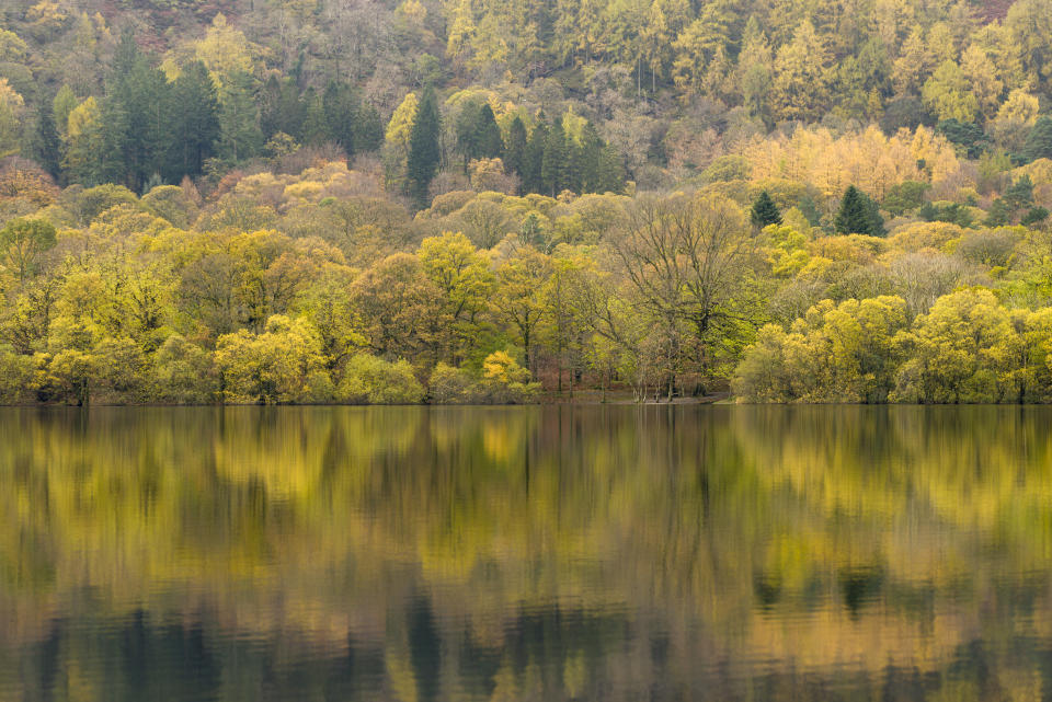 A reflection of the autumn colours in Loweswater. (Getty Images)