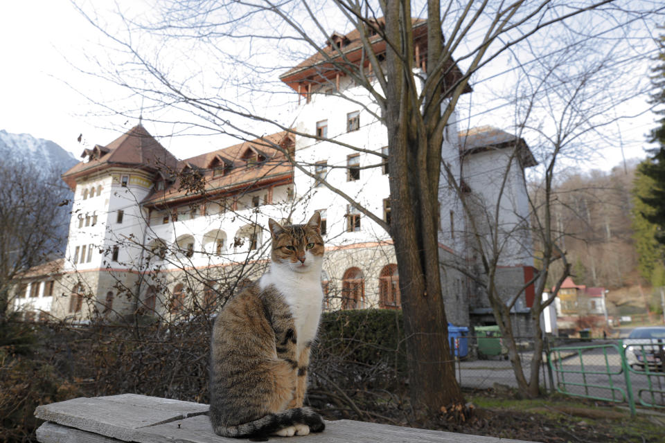In this photo taken on Monday, Dec. 16, 2019, Ileana the cat sits backdropped by the building of a communist era orphanage that was a home for, Florin Catanescu, 41, between 1988 and 1997, in Busteni, Romania. Thirty years after the 1989 death of Romania's communist-era dictator, the country is still grappling with the ugly legacy of its once-horrific orphanages. Now some of those who grew up abused and unloved in those failed institutions are turning their trauma into commitment. Florin Catanescu, who lived in an orphanage until 1997, now runs a transition home helping those leaving state care to have a better chance of leading meaningful lives. (AP Photo/Vadim Ghirda)