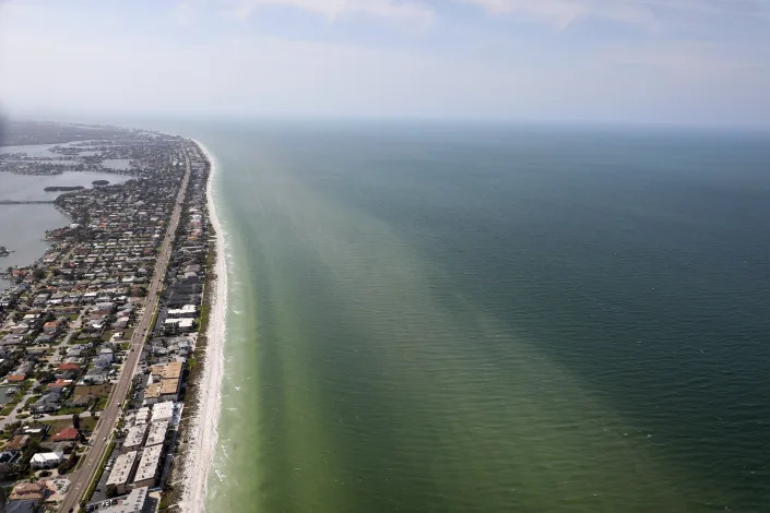 Red tide is observed near Pinellas County beaches off Redington Beach, Fla., during a flight with SouthWings volunteers on Friday, March 10, 2023. Florida's southwest coast experienced a flare-up of the toxic red tide algae this week, setting off concerns that it could continue to stick around for a while. The current bloom started in October. (Douglas R. Clifford/Tampa Bay Times via AP)