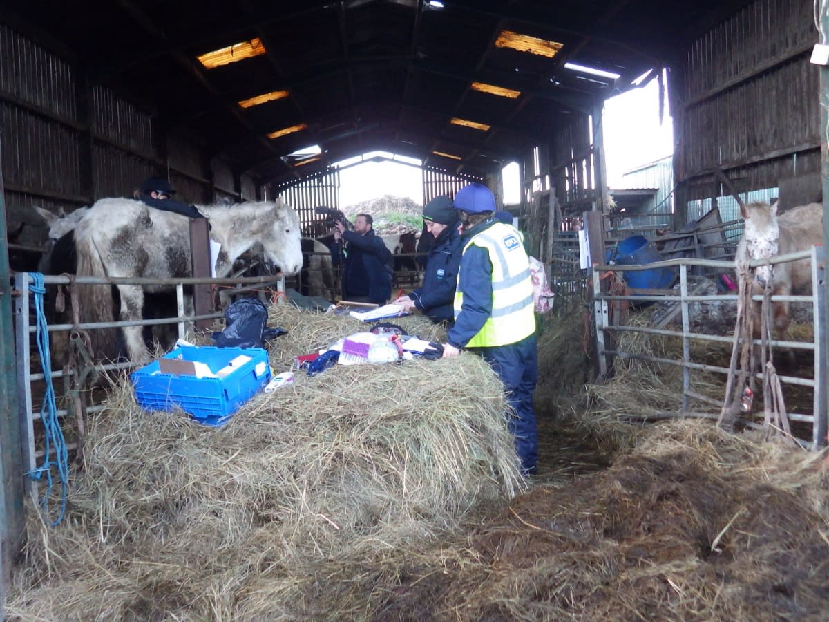 Farmer Christine Kelly kept more than 200 animals in squalid conditions. (swns)