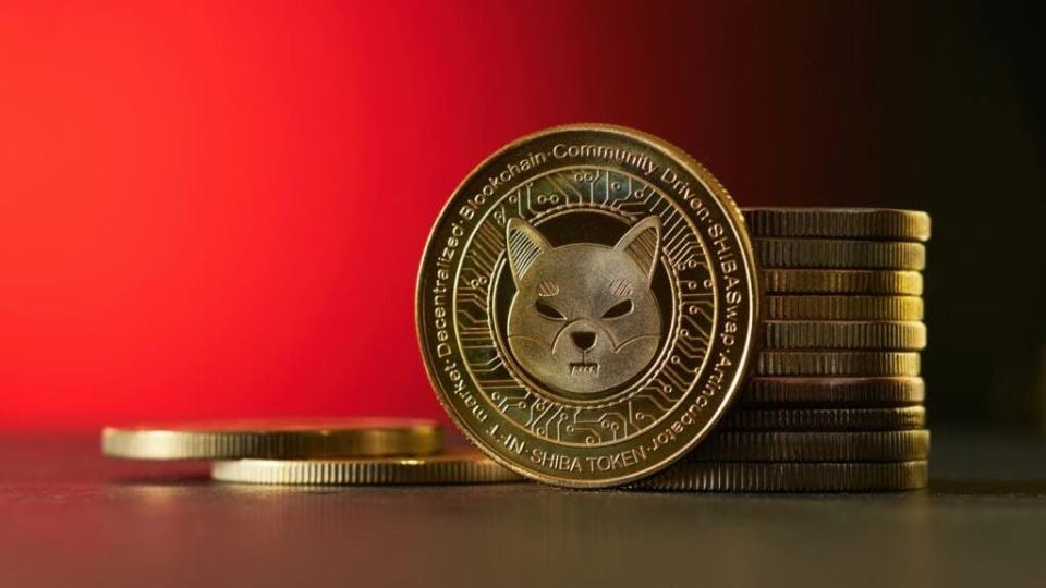 'Dogecoin Killer' Shiba Inu Developers Outline Future Plans In First-Ever Interview