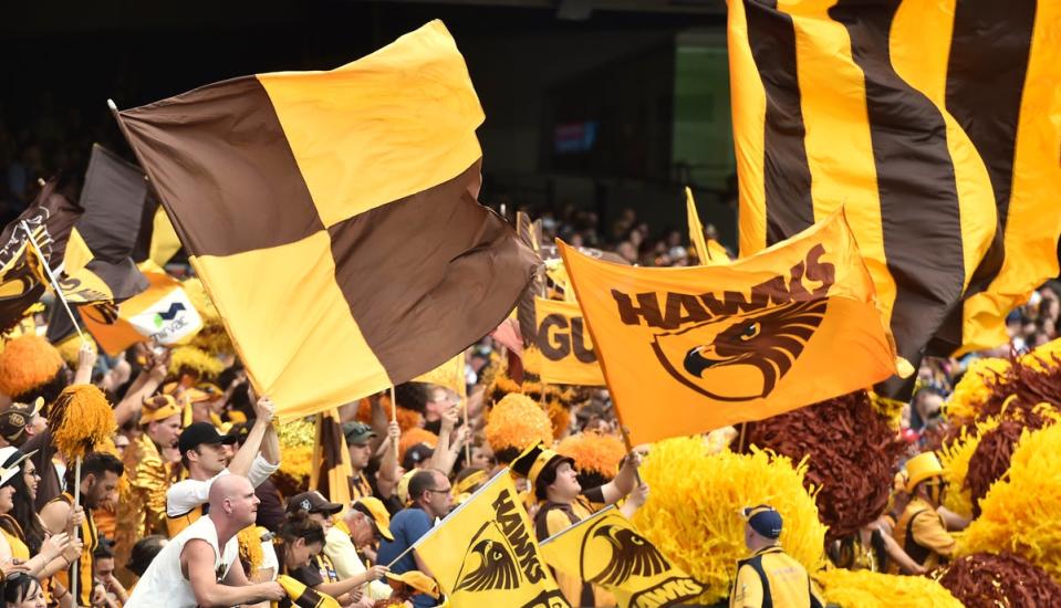 Hawthorn have been hit by ‘harrowing’ claims of  bullying  (AP)