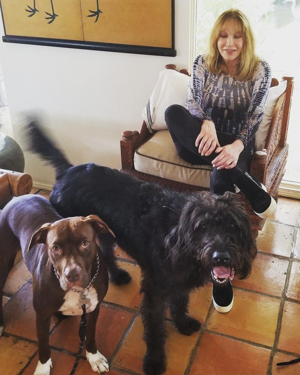 tanya roberts dogs