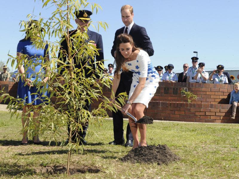 Herzogin Kate pflanzt einen Baum. Foto: Dan Peled