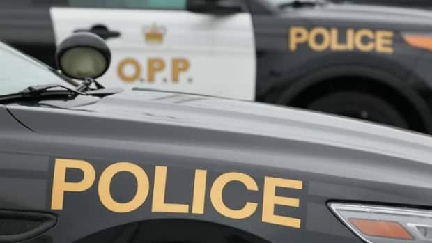 An investigation by Ontario’s police watchdog resulted in a sexual assault charge for William Price, a former OPP superintendent. 