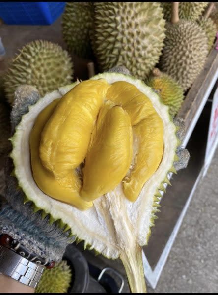 318 Durian - durian