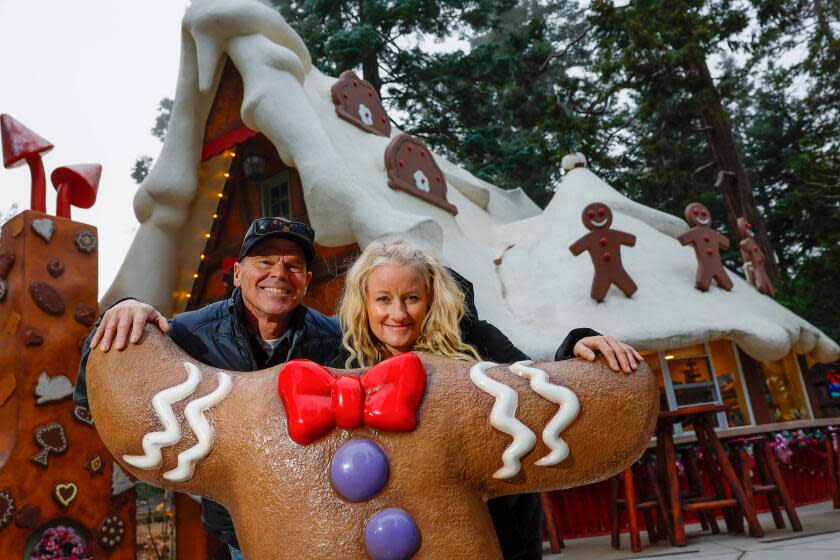 Skypark at Santa's Village owners Bill and Michelle Johnson.