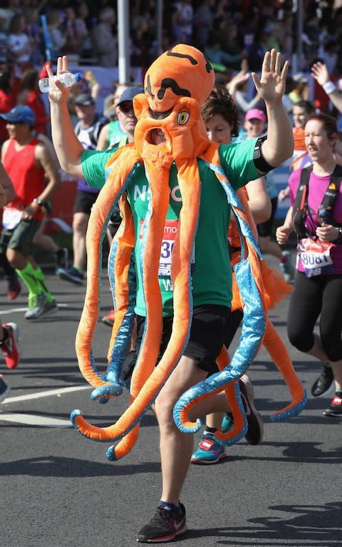 fun runner squid - Credit: GETTY IMAGES