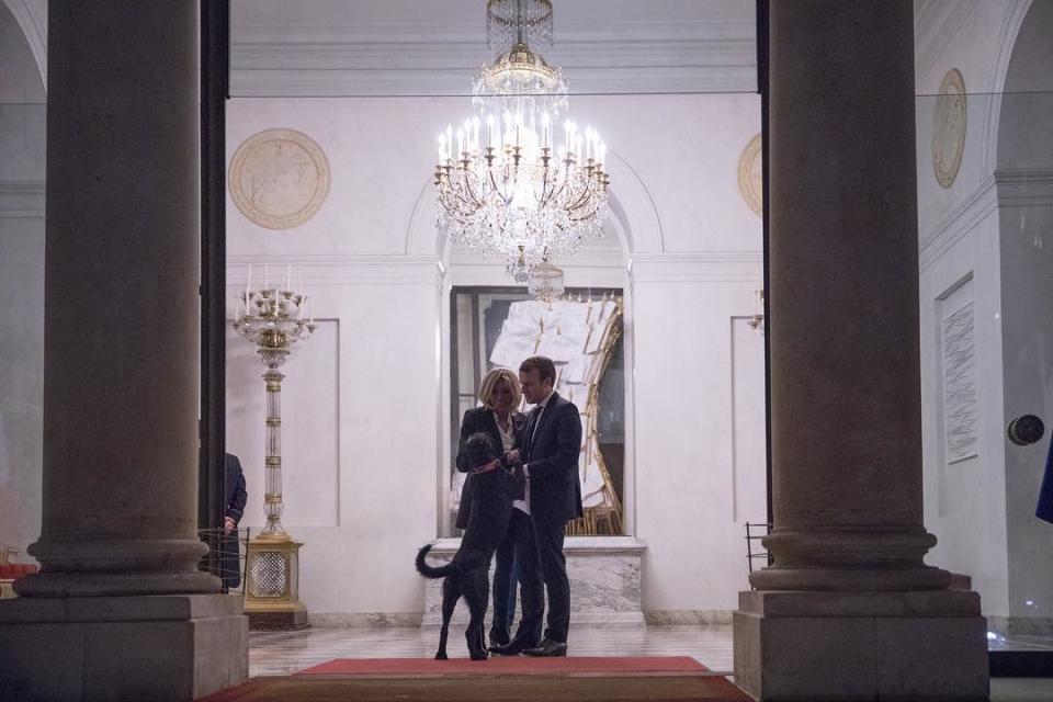 <p>Accompagné de Brigitte, sa femme, et Nemo, son chien, le président français a souhaité de bonnes fêtes à ses concitoyens.<br>Source : @emmanuelmacron </p>