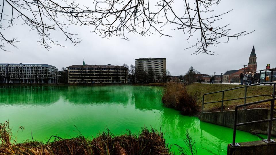 In Kiel färbte sich ein Gewässer grün. (Bild: dpa)