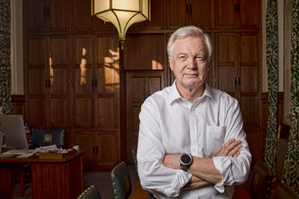 Former Brexit secretary David Davis (Adrian Lourie)