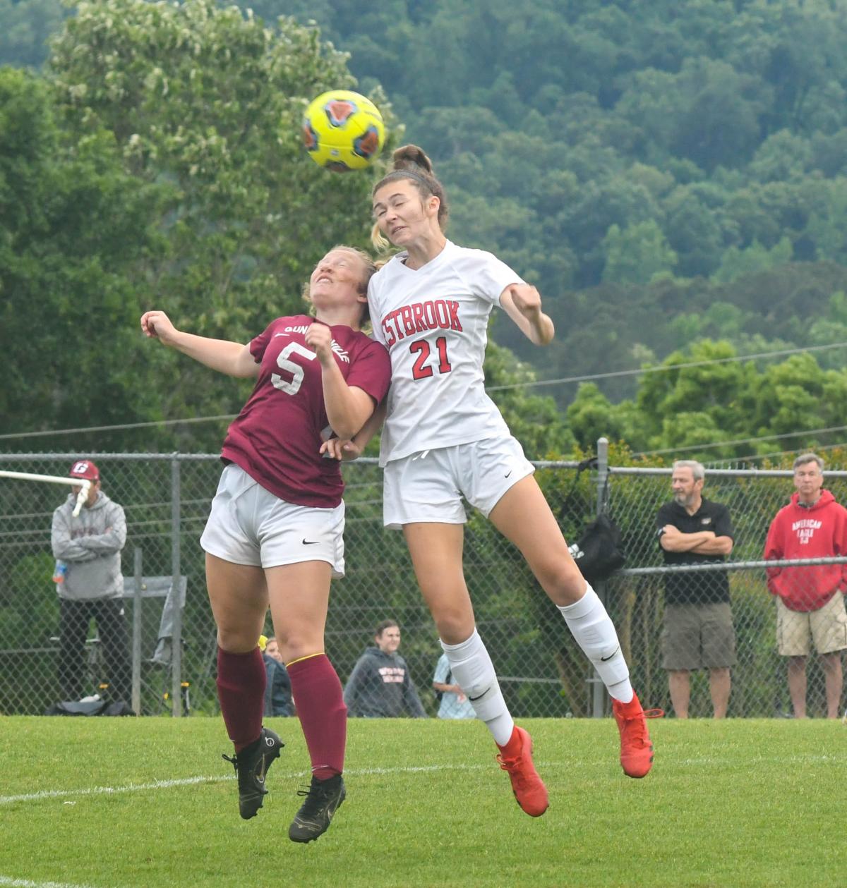Pairings, scores for Final Four of AHSAA state soccer in Huntsville
