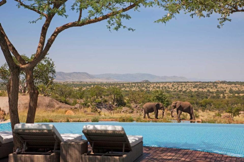 Si hay algún extra que puede tener la piscina ideal, es la vista: y si ese paisaje incluye animales salvajes dentro de un Parque Nacional, ya no hay piscina que le gane. El hotel Four Season ubicado en Serengeti, Tanzania, cumple con todos estos requisitos y tiene una de las piscinas más únicas del mundo.