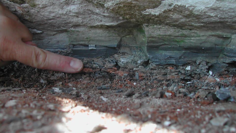 The Cretaceous-Paleogene boundary layer is seen in Stevns Klint, Denmark. The study authors investigated the red clay layer with the highest ruthenium concentrations, which indicated the arrival of vaporized carbonaceous asteroid material dispersed from the Chicxulub impact area. - Philippe Claeys