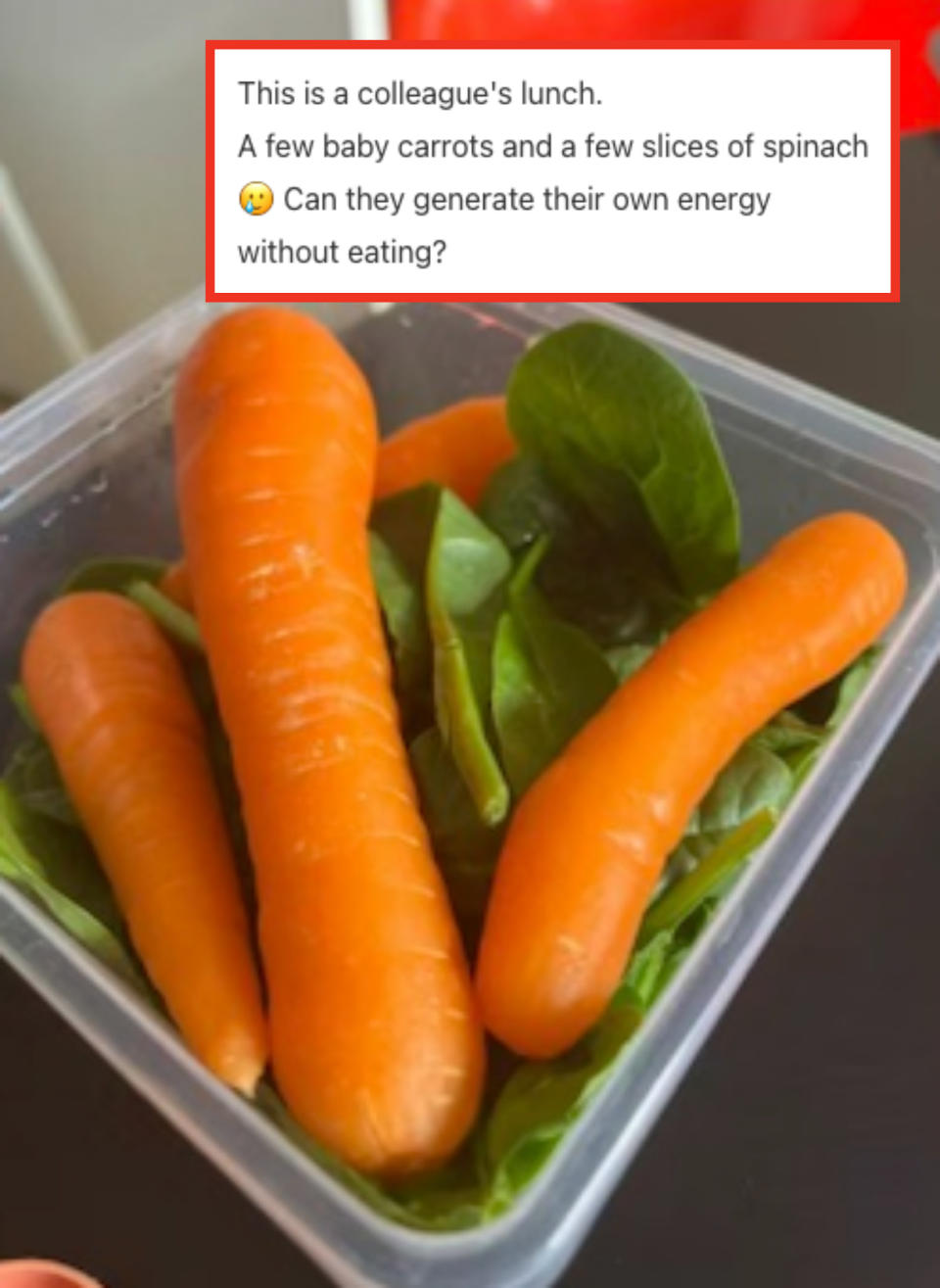 carrots and spinach in a tupperware with caption: this is a colleague's lunch. a few baby carrots and a few splices of spinach. can they generate their own energy without eating?