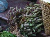 Edible herbs on sale in Ima Market in Imphal.