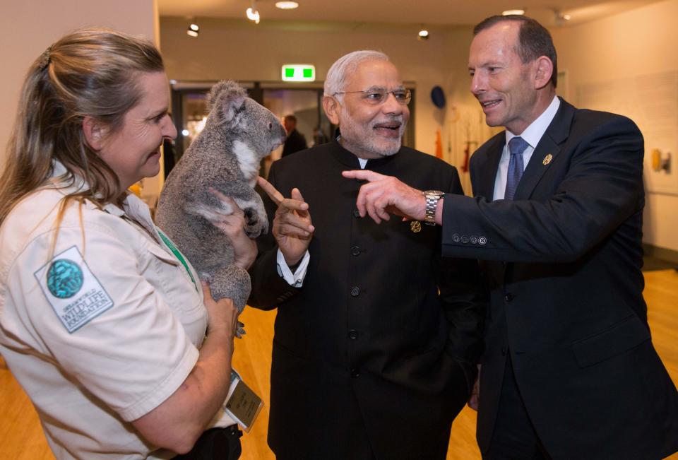 G20 handout photo shows India's PM Modi and his Australian counterpart Abbott looking at a koala before the G20 Leaders' Summit in Brisbane